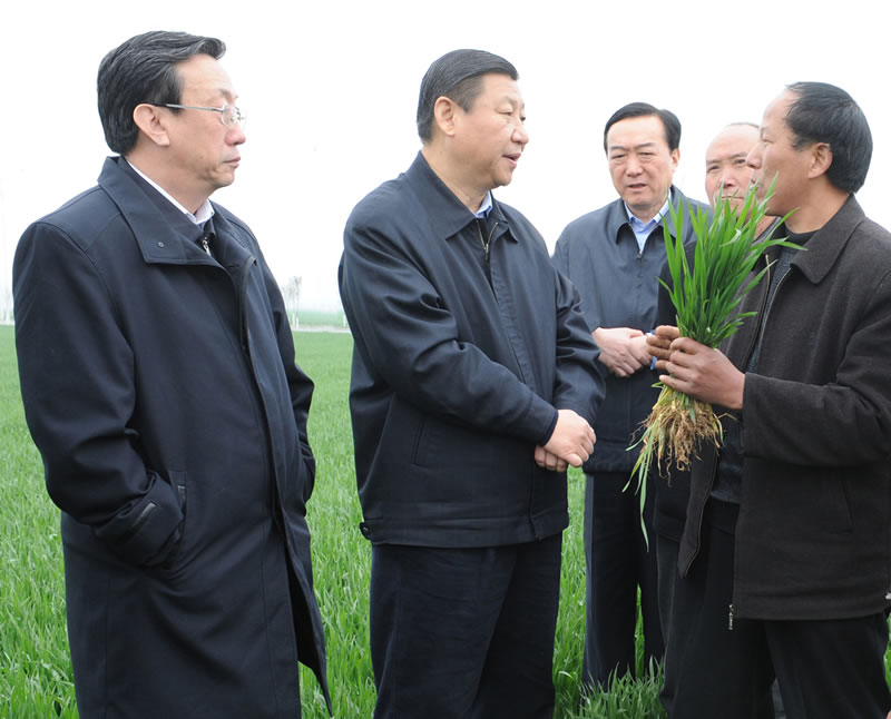 国家主席习近平在原河南省省委书记郭庚茂的陪同下视察我公司矮抗58小麦繁育基地